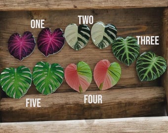 Vivarium Leaf Handles - our best selling vivarium and terrarium handles are back.