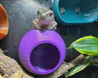爬虫類、カエル、ヘビ、両生類、ヤモリ、トカゲ、アマガエル、小動物用のかわいいココナッツ ハイド。