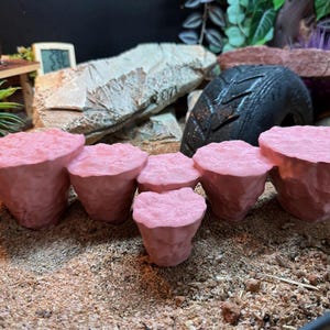 Può includere: Sei elementi decorativi rosa, strutturati e a forma di cono sono disposti su un letto di sabbia. Un pneumatico nero e formazioni rocciose sono sullo sfondo. Gli elementi sono probabilmente per un habitat di rettili.