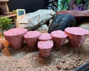 Terrarium Trittstein Leiste (320 mm) - Reptilien Basking Rock, Schlangenhaut & Frosch Kletterplattform