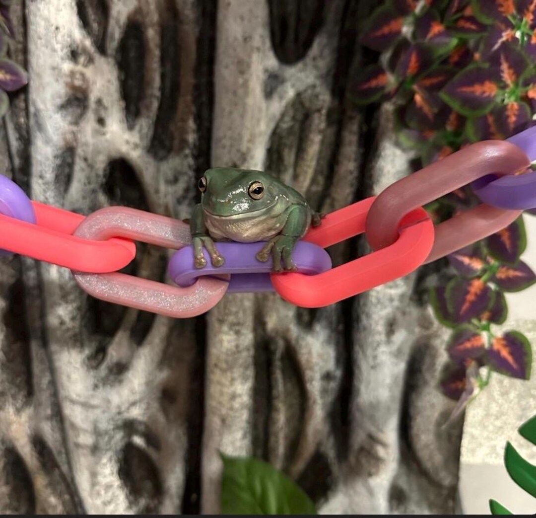 Reptile and Frog Chain Link Bridge – Available in 4 Sizes | Perfect for ...