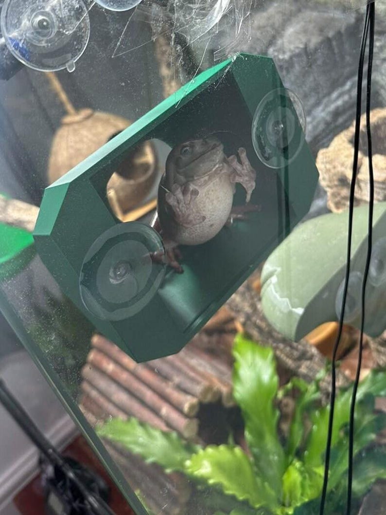 3D Printed Reptile Hide – Gecko/frog Elevated Cave With Suction - Etsy