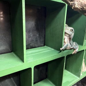 May include: A green and white tree frog peeks out from a green, cubby-like structure. The frog is light green with darker green markings. The structure has multiple compartments, and a branch is visible at the top.