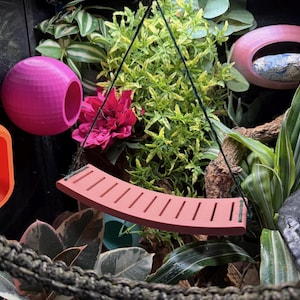 May include: A terrarium setup featuring a pink swing, a pink sphere with a hole, and an orange cube. The scene is filled with lush greenery, including a vibrant pink flower, creating a naturalistic environment.