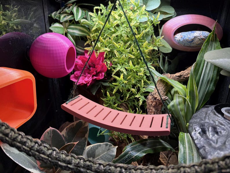 May include: A terrarium setup featuring a pink swing, a pink sphere with a hole, and an orange cube. The scene is filled with lush greenery, including a vibrant pink flower, creating a naturalistic environment.