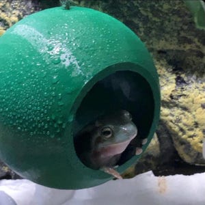 3D-Printed Hanging Coconut Hide – Reptile & Amphibian Enrichment