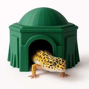 May include: A green reptile hide with a dome-shaped roof, with a gecko partially visible. The gecko has yellow skin with black spots. The hideout has a square base and a rounded top.