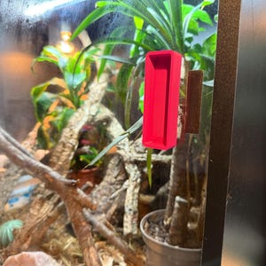 May include: A red rectangular reptile feeder is mounted inside a glass terrarium. The terrarium contains plants, branches, and a substrate. The feeder is attached to the glass with a brown adhesive.