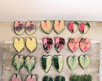Poignées en forme de feuille pour vivarium - nos poignées pour vivarium et terrarium les plus vendues de notre gamme imparfaitement parfaite