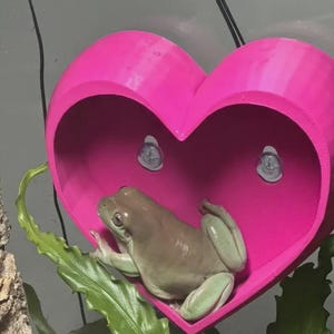 Sweetheart Sanctuary: 3D Printed Heart Reptile Hideout - 32 Colors! Perfect for Gecko, Lizard, Snake, Frog Tank Decor