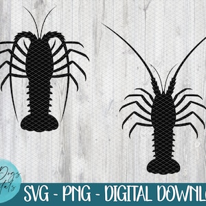 Languste SVG Png | Hummer SVG | Florida Hummer SVG | Mini-Saison svg | Florida Keys Hummer svg | Krebstier svg | Hummer-Angeln svg
