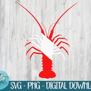 Drapeau de plongée Svg, drapeau de plongée homard SVG, langouste SVG Png, homard SVG, mini saison svg, svg plongée, pêche svg, svg bateau