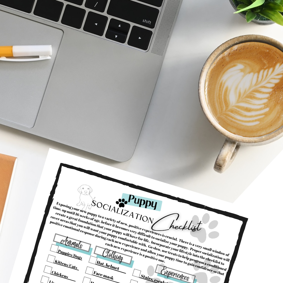 Printable Puppy Socialization Checklist - Etsy
