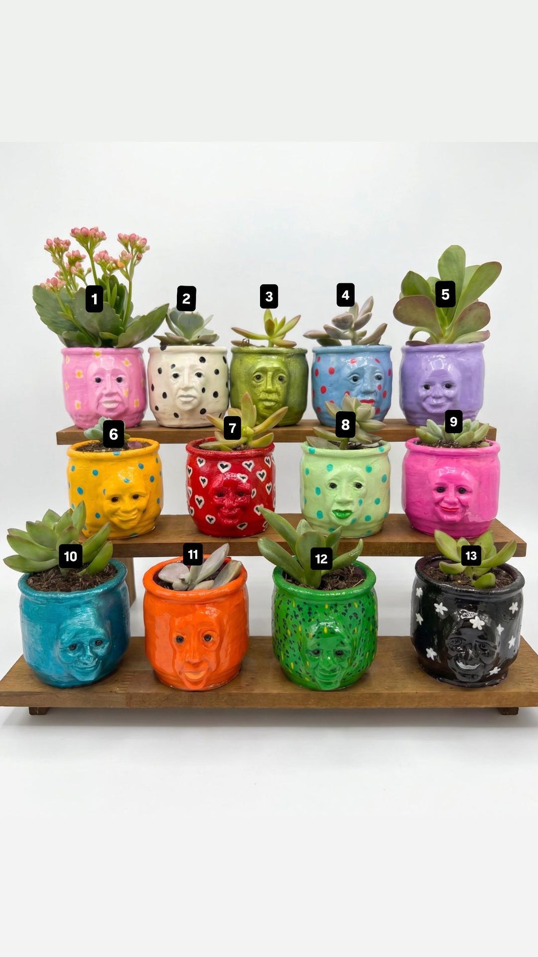 Pot Heads (13 OPTIONS) - Etsy Australia