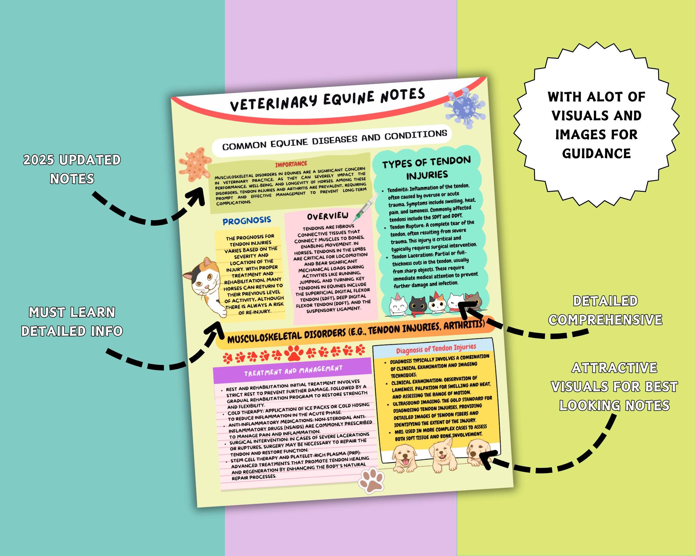 Equine Veterinary Notes Bundle: Vet Tech Student Guide (digital ...