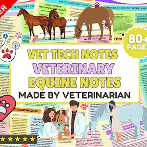 May include: A colorful digital download for veterinary technicians featuring notes on equine veterinary medicine. The notes include illustrations of horses, a veterinarian, and text about viral pathogenesis, preventive disease control, and transmission to humans. The text "Vet Tech Notes Veterinary Equine Notes Made By Veterinarian" is displayed in large, bold letters.