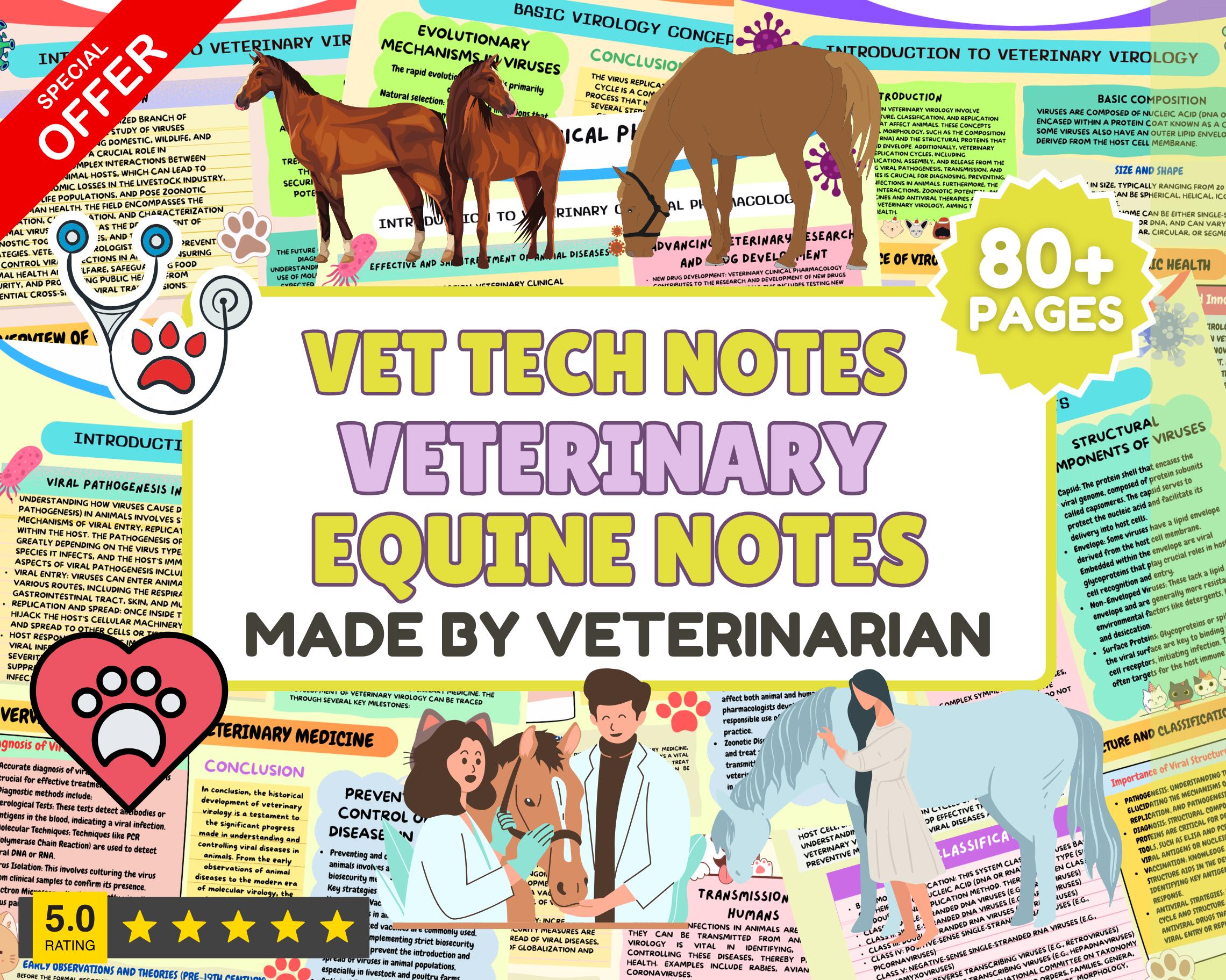 Veterinary Tech Notes Equine Veterinary Notes Bundle: Vet Tech Student Guide (digital ...