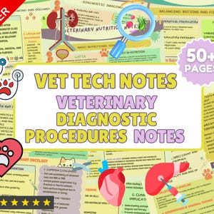 Puede incluir: Un colorido póster educativo titulado "VET TECH NOTES" con el subtítulo "VETERINARY DIAGNOSTIC PROCEDURES NOTES". El póster incluye diagramas de órganos, un estetoscopio, huellas de patas y el texto "50+ PAGES".