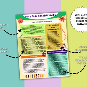 Veterinary Fecal Parasite Guide: Vet Tech Notes (digital Download) - Etsy