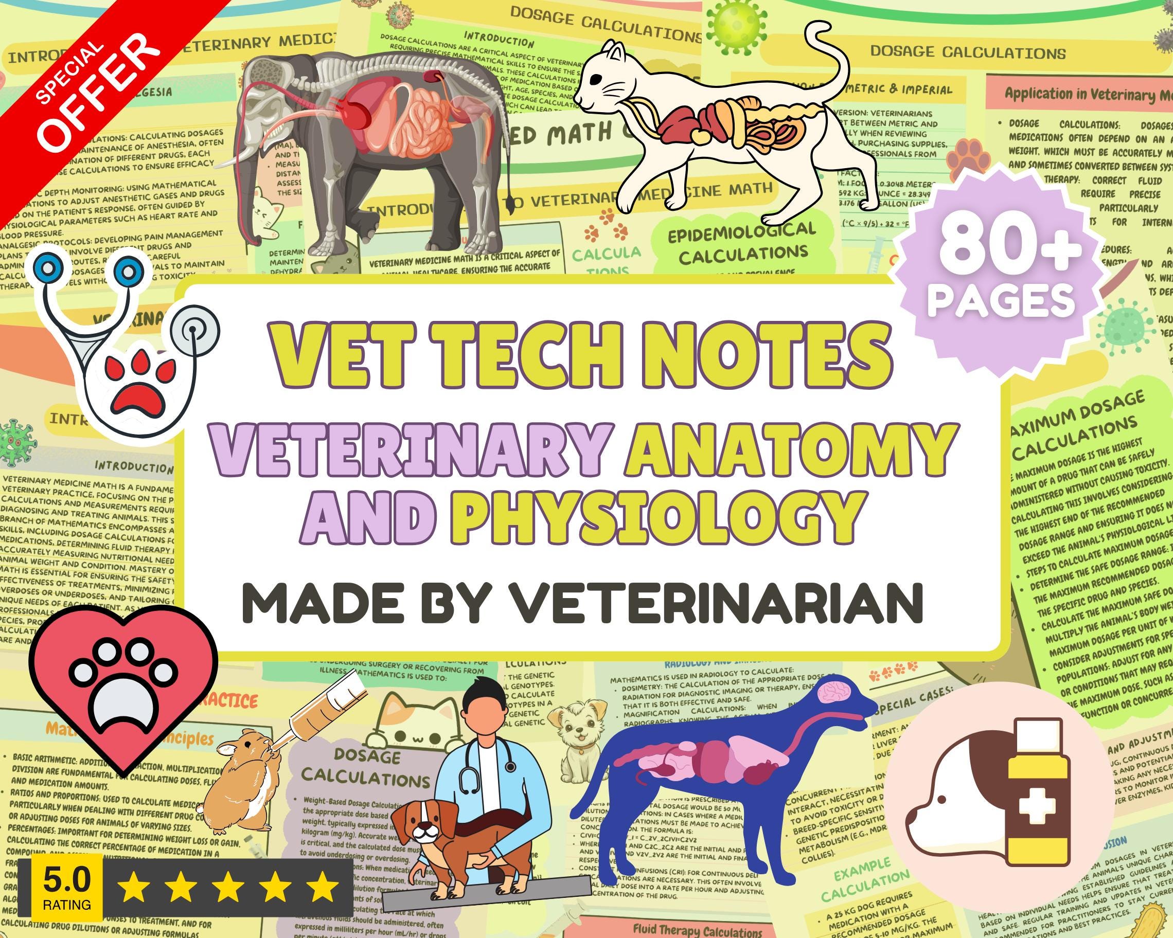 Veterinary Anatomy & Physiology Study Guide: Vet Tech Notes (Digital Download)