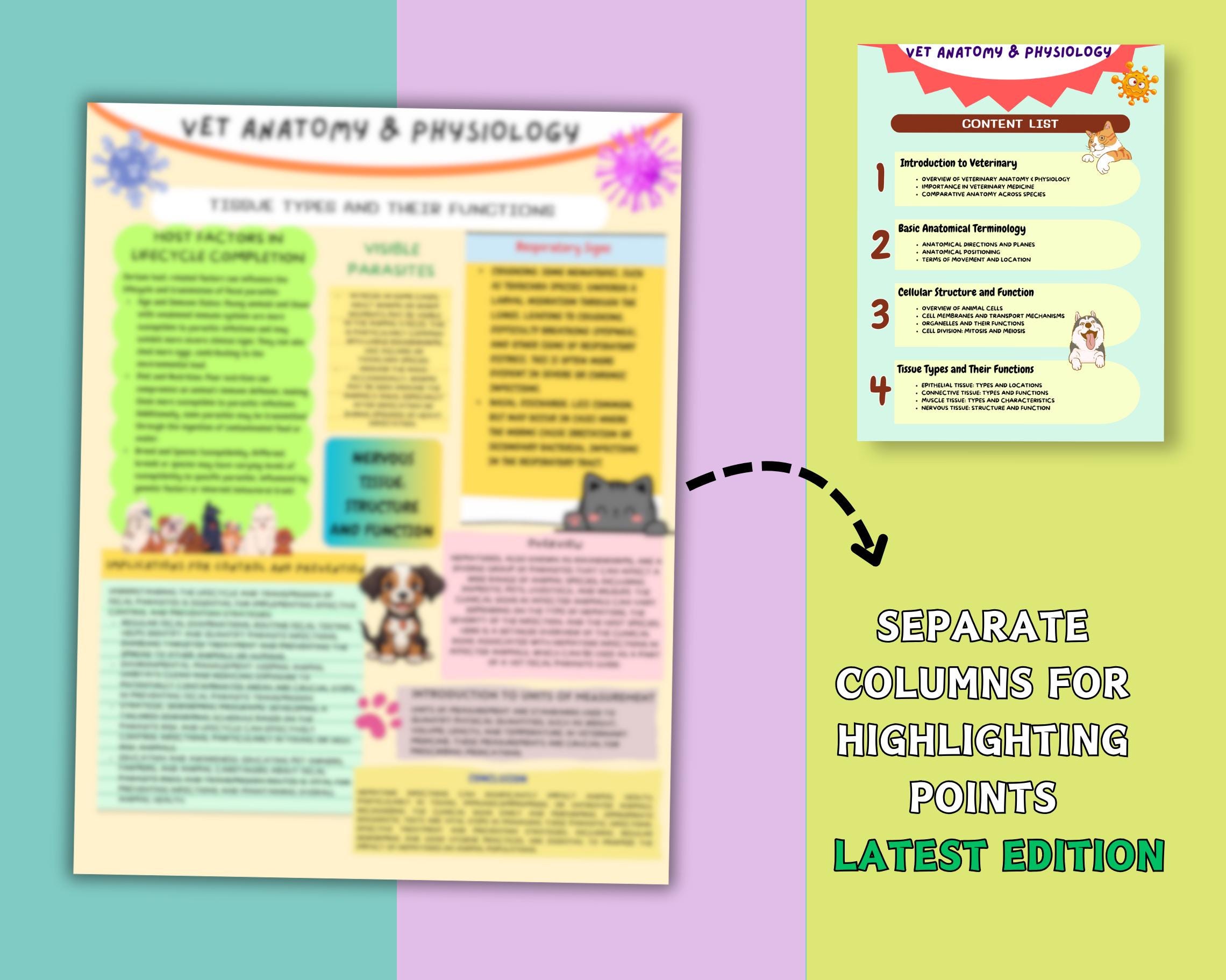 Vet Notes.pdf Veterinary Anatomy & Physiology Study Guide: Vet Tech Notes (digital ...