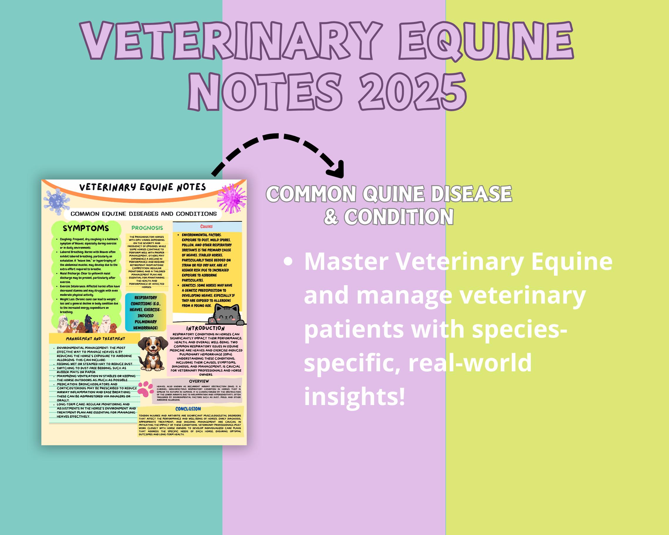 Vet Notes.pdf Equine Veterinary Notes Bundle: Vet Tech Student Guide (digital ...