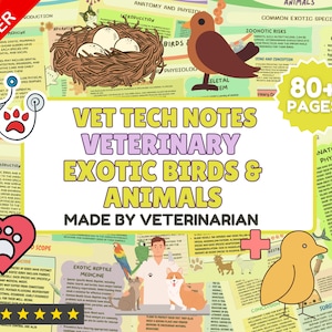 May include: A colorful digital download for veterinary technicians featuring notes on exotic birds and animals. The title "Vet Tech Notes Veterinary Exotic Birds & Animals Made By Veterinarian" is displayed in a pink, purple, and yellow font. The image includes illustrations of birds, reptiles, and other animals. The text "80+ Pages" is displayed in a white circle with a blue border.