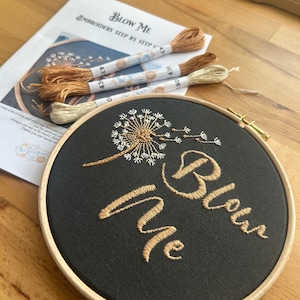Blow Me, embroidered flower hoop art. A Sassy, fun, alternative vintage style hand embroidery kit. All abilities, the perfect gift.