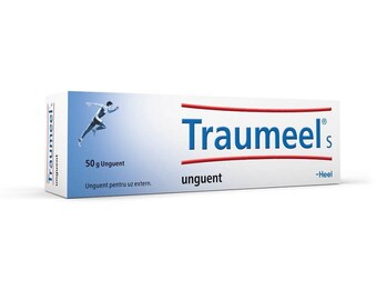 Traumeel S Salbe, 50 g