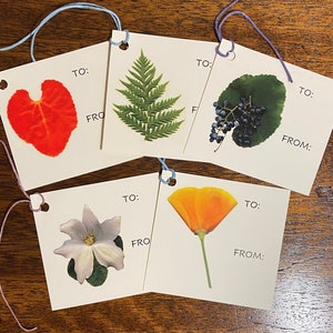 Gift Tags!  Set of 10 (2 each of 5 images)