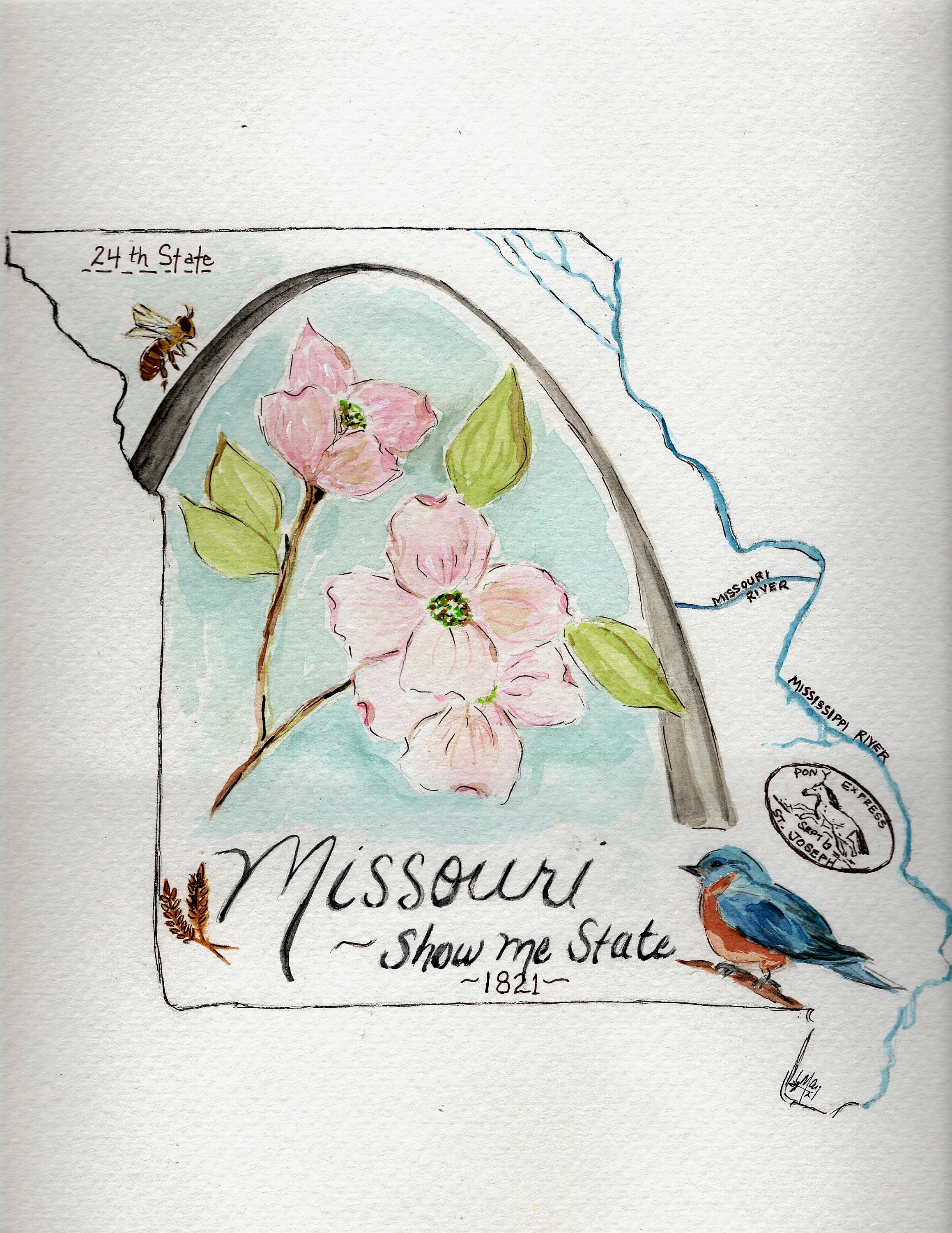 Watercolors - Missouri Poison Center