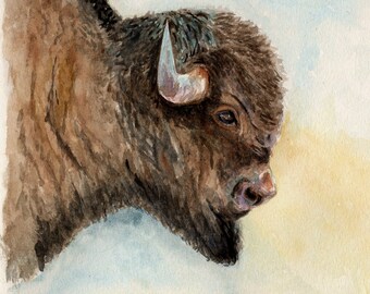 Yellowstone Buffalo Watercolor Painting, Watercolor Print, Wall Art
