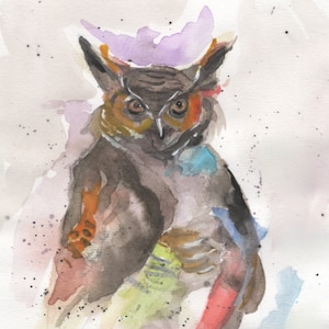 Colorful Owl Watercolor Print, Wall Art, Original