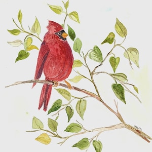 Cardinal Red Bird Watercolor Painting Wall Art