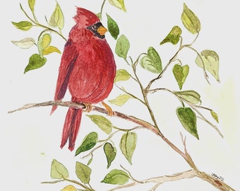 Cardinal Red Bird Watercolor Painting Wall Art