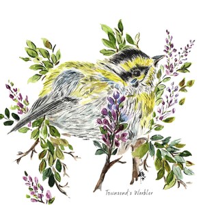 Townsend&#39;s Warbler Watercolor Painting Wall Art
