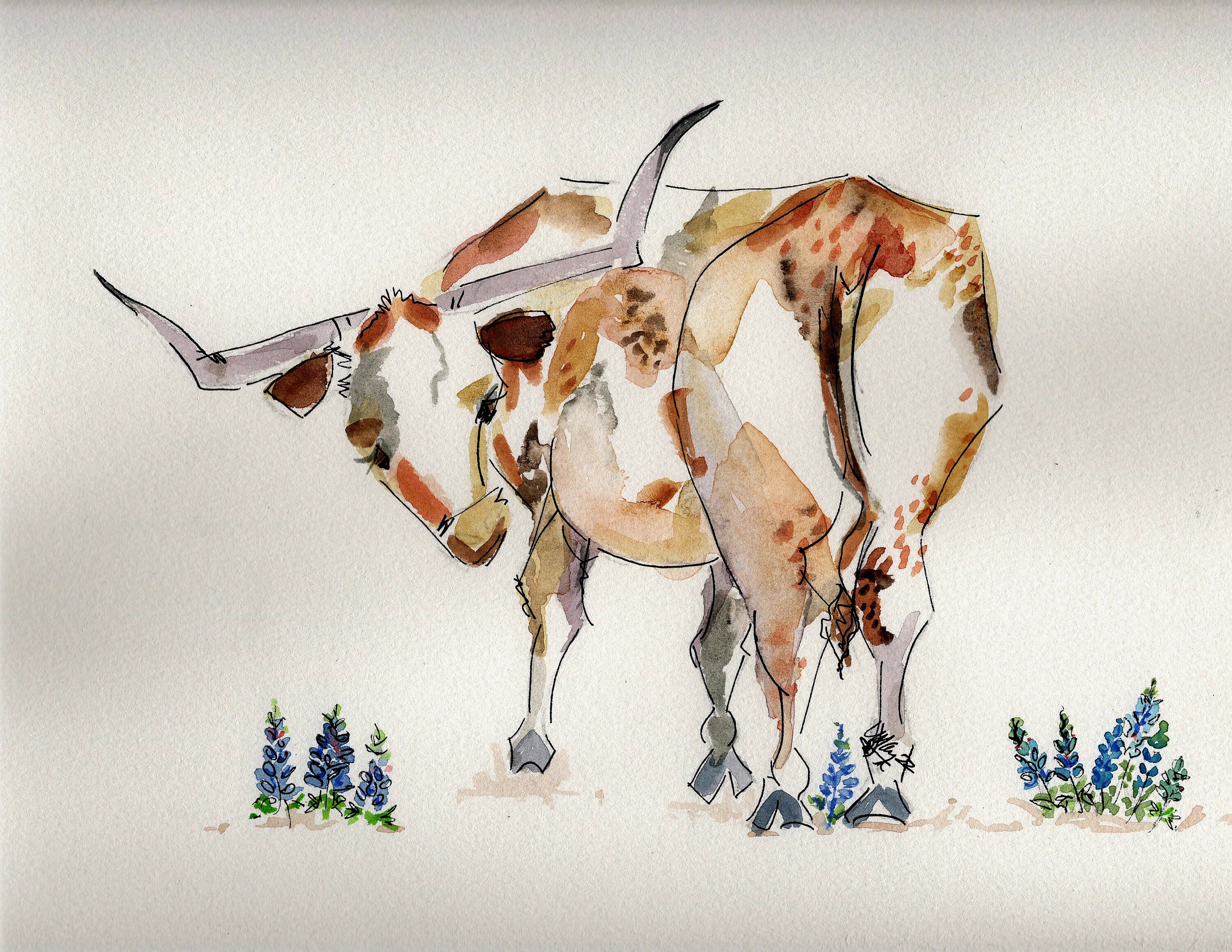 Longhorn in the Bluebonnets Watercolor Art Print - Etsy