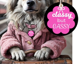 Funny pet name tag, Metal Pet Tag, Personalized Pet Tag, Pet Accessories, Pet Gift, gift for dog owner