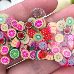 Resin dog tags with fruit slices,dog tag,fruit dog tag, dog mom gift, dog dad gift,dog tag personalized for dogs,colourful,fruit slices