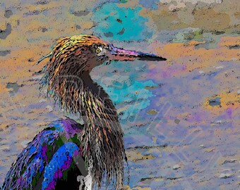 Painted Heron Digital Download