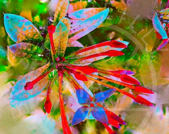 Santan Flower Photo Art: Tropical Wall Decor (Digital Download)