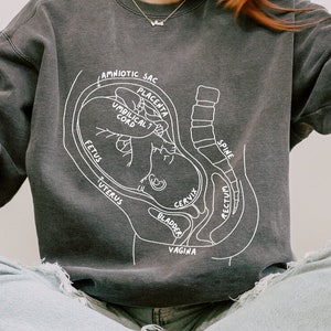 Pregnancy Female Anatomy During Pregnancy T-Shirt, Fetus in Utero, OBGYN Midwife, Labor & Delivery