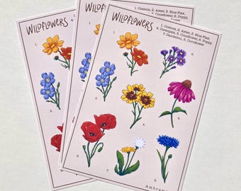 May include: A set of three illustrated cards with the title "Wildflowers" and numbered images of different wildflowers, including cosmos, aster, blue flax, coreopsis, coneflower, poppy, dandelion, and cornflower. The cards are printed on a light pink background.