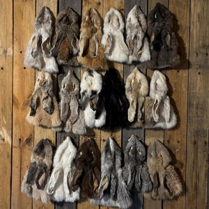 Mountable Rabbit Cape | Medium