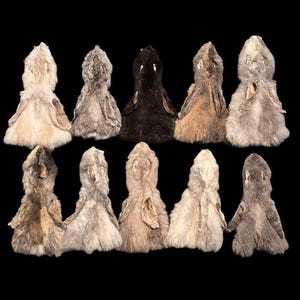 Aufsteckbares Kaninchen-Umhang | Mittel