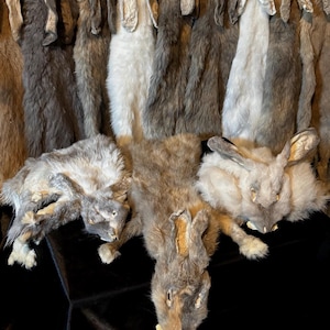 Puede incluir: Pieles de conejo en varios tonos de gris y marrón. Algunas pieles cuelgan verticalmente, mientras que otras están dispuestas horizontalmente. Las pieles muestran la textura natural del pelaje y las variaciones de color.