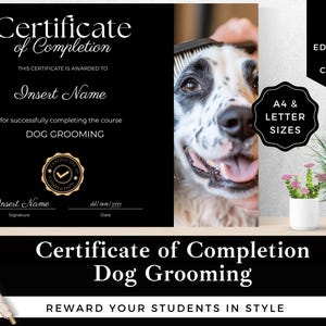 Dog Grooming Certificate Template: Editable Canva Award (A4 & Letter)
