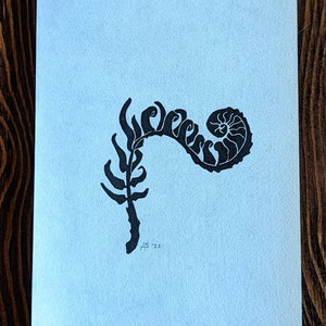 Fern Unfurling, block print on paper, signed and dated open edition, fern art, forest art, forager art, botanical art, PNW art