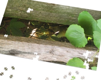 Hidden Kitty Puzzle, Cat Hiding Puzzle, Jigsaw Puzzle