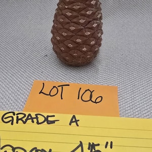 May include: A brown pine cone with a textured, layered surface. Below the pine cone are two yellow paper notes. The top note reads LOT 106. The bottom note reads GRADE A and approx 4.5" TALL. The pine cone is positioned vertically.